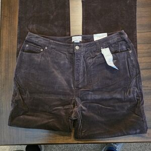 Charter Club Dark Brown Corduroy Trousers